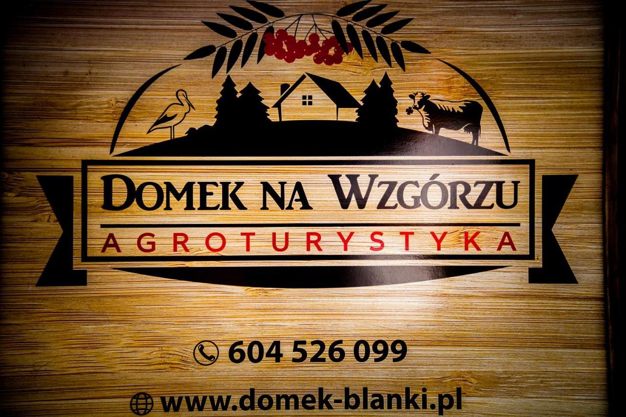 Domek Na Wzgorzu Blanki Lidzbark Warminski Ngoại thất bức ảnh